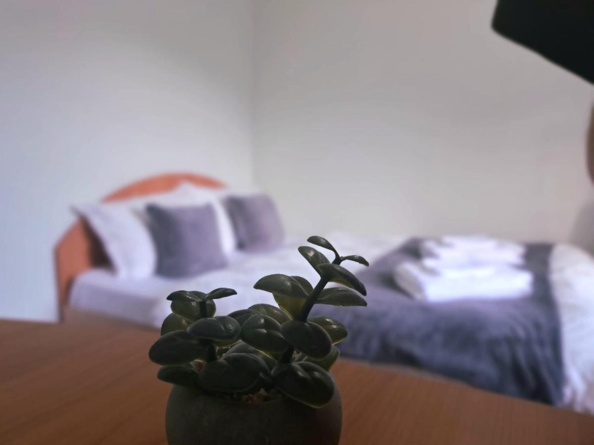 Aviliz Apartament Buşteni Exterior foto